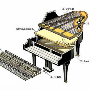 Cấu tạo đàn piano cơ bạn nên biết