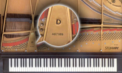số serial của cây đàn Grand piano 